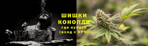 трава Корсаков