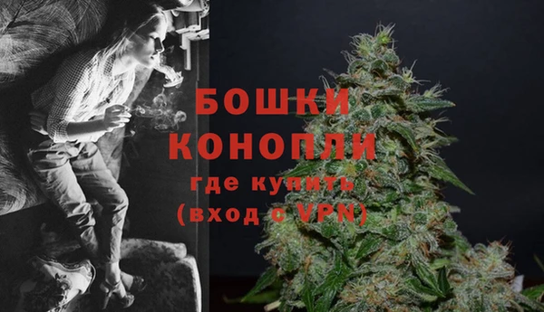 PSILOCYBIN Алексеевка