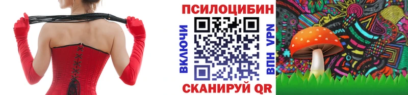 Псилоцибиновые грибы MAGIC MUSHROOMS  Чебаркуль 
